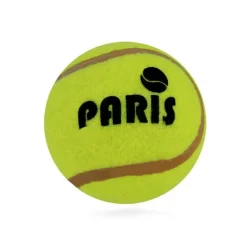 Balle de tennis Paris