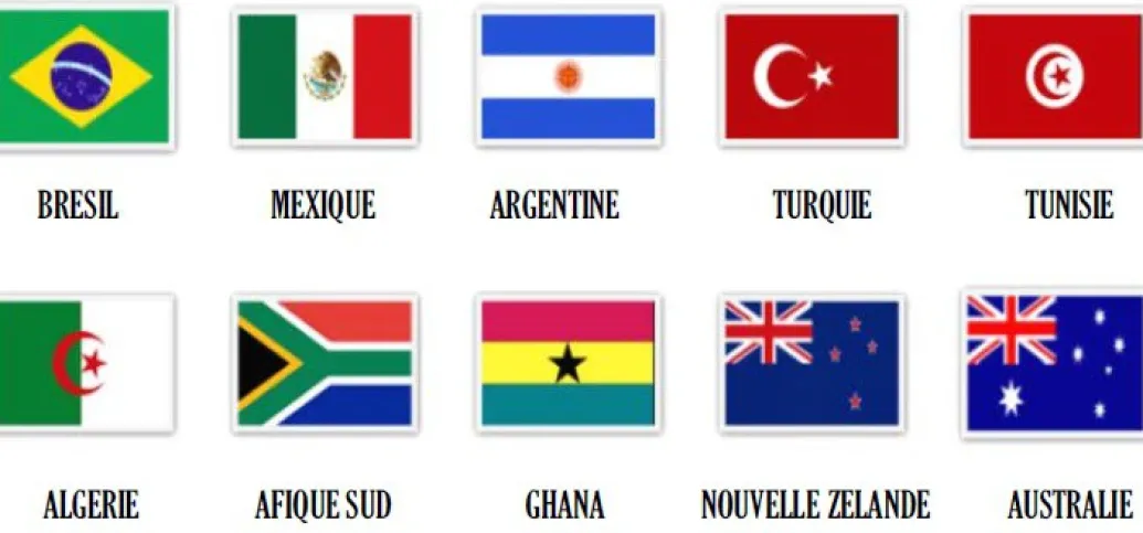 Drapeau de la France