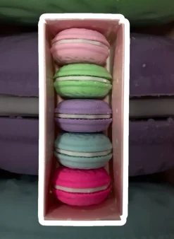 5 Gommes macarons couleurs
