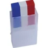 Maquillage Tricolore supporter France