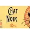 Petite Boîte à Musique Chat Noir