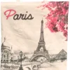Sac tote bag tour Eiffel fleurs