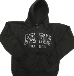 Sweat shirt Paris France brodé gris chiné