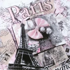 Tee shirt blanc Paris France "Le noeud strass"