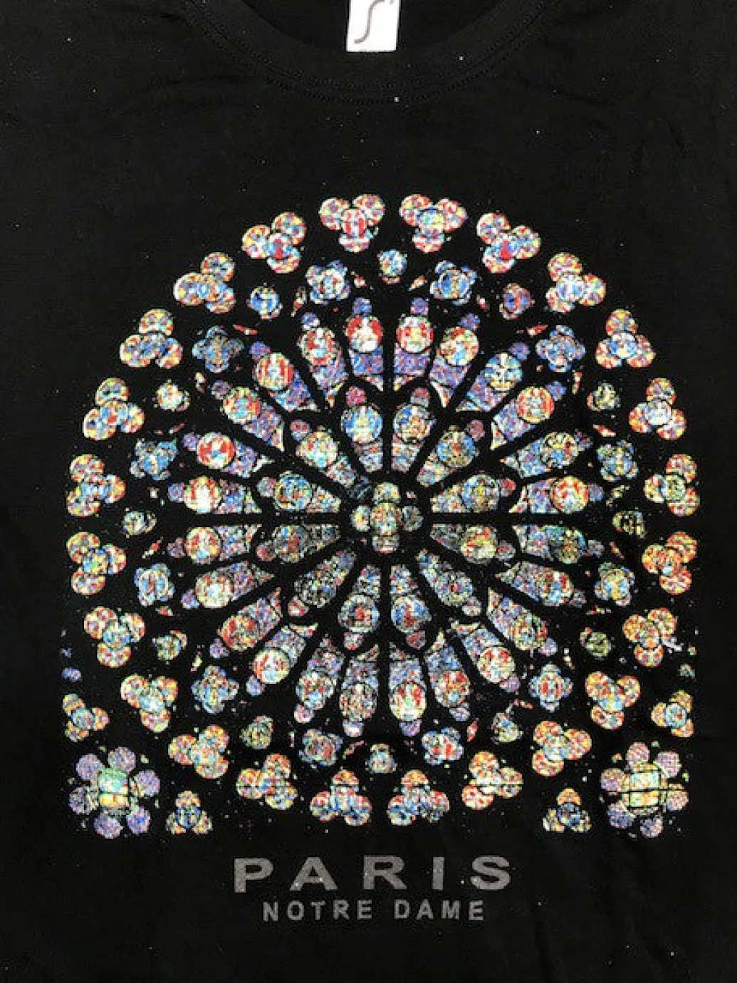 Tee shirt Paris Notre Dame souvenirs