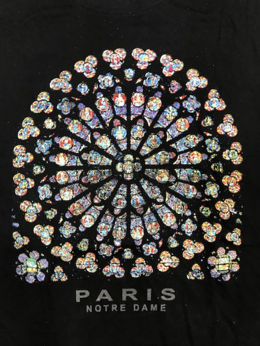 Tee shirt Paris Notre Dame souvenirs