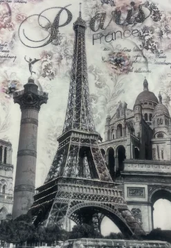 Tee shirt Tour Eiffel monuments suprême