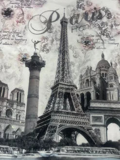 Tee shirt Tour Eiffel monuments suprême