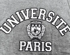 Tee shirt université Paris gris